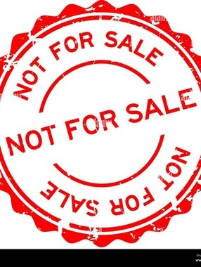 NOT FOR SALR AE Outfitters Black Tank Top Crochet Back Detail Boho